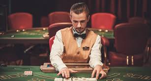 Официальный сайт AVOCADO CASINO
